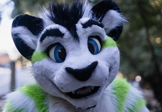 Old Mill Park - Fibrekitty