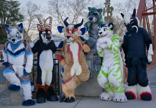 Roseville Town Center