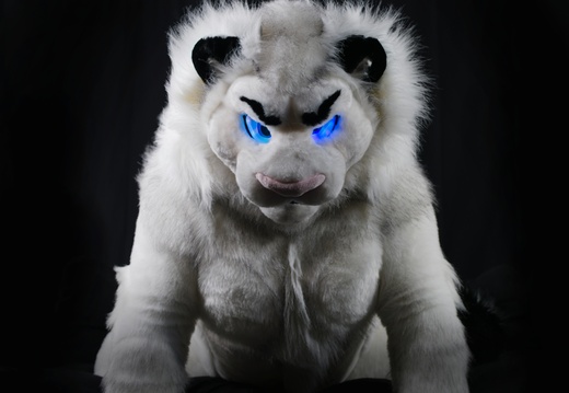 Dark Background - Morro, Luto, Fibre, Fairlight