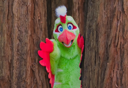 East Bay - Fiburd