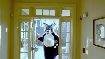 Pandacat Gyms - The Red Panda Workout