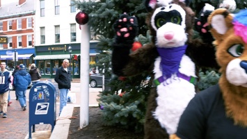 Pandacat On Tour - Portsmouth Nh Fur Walk December 2018