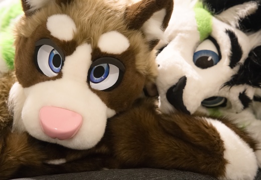 Netherlands - Fibre, Poko