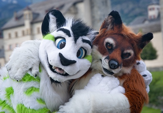 Switzerland - Brig - Fibre & Shirefox