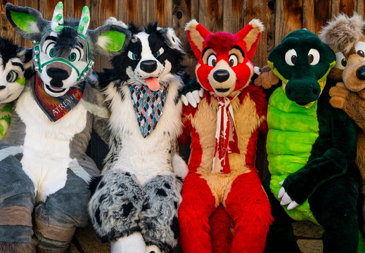 San Jose Fluffy Farewell