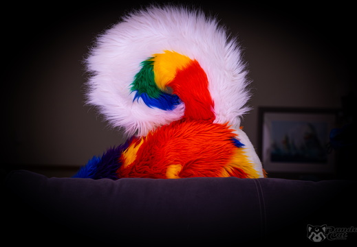 Seattle visit - Charm