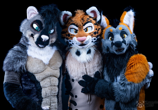 Dark Background - Bigby, Tryk & Hashtag