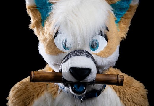 Dark Background - Grieg