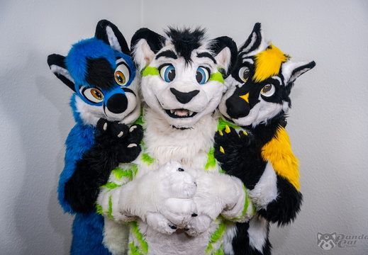 BlueJay, Fibre & WolfRalle