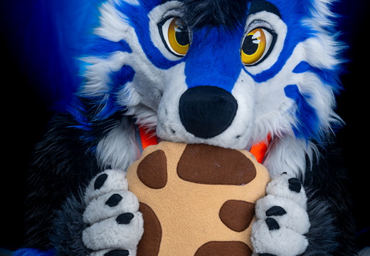 Dark Background - Aki