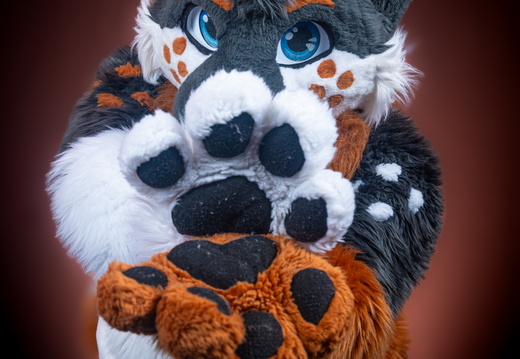 Dark Background - Yunas