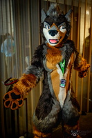 FLT09118-Enhanced-NR