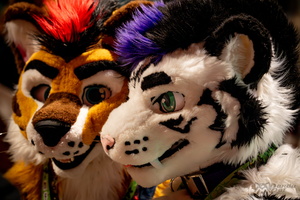 FLT09371-Enhanced-NR