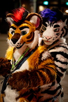 FLT09376-Enhanced-NR