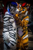 FLT09377-Enhanced-NR