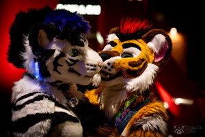 FLT09381-Enhanced-NR