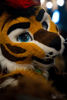 FLT09296-Enhanced-NR