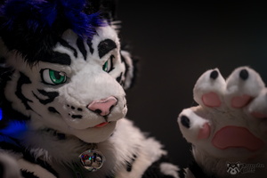 FLT09234-Enhanced-NR