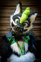 FLT09709-Enhanced-NR