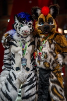 FLT09220-Enhanced-NR