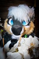 FLT09137-Enhanced-NR