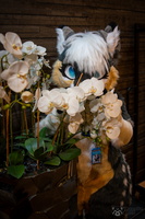 FLT09133-Enhanced-NR