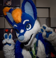 FLT09280-Enhanced-NR