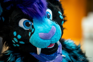 FLT09566-Enhanced-NR