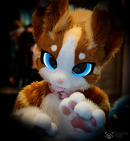 FLT09319-Enhanced-NR