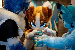 FLT09321-Enhanced-NR