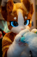 FLT09323-Enhanced-NR