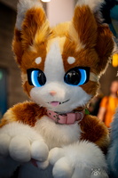 FLT09326-Enhanced-NR