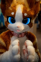 FLT09328-Enhanced-NR