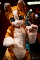 FLT09241-Enhanced-NR