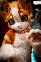 FLT09240-Enhanced-NR