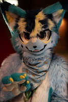 FLT09225-Enhanced-NR