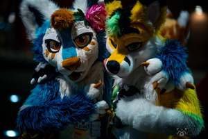 FLT09236-Enhanced-NR