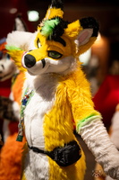 FLT09238-Enhanced-NR