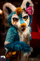 FLT09239-Enhanced-NR