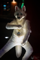 FLT09245-Enhanced-NR