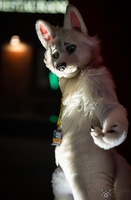 FLT09249-Enhanced-NR