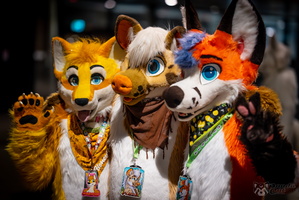 FLT09253-Enhanced-NR