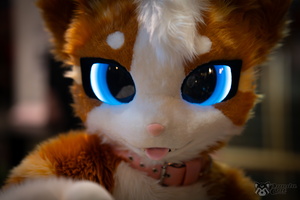 FLT09267-Enhanced-NR