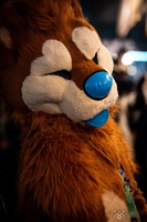 FLT09290-Enhanced-NR