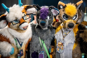 FLT09292-Enhanced-NR