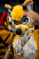 FLT09293-Enhanced-NR