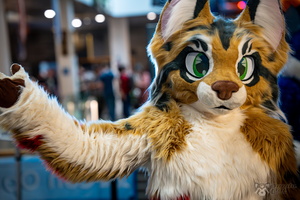 FLT09300-Enhanced-NR