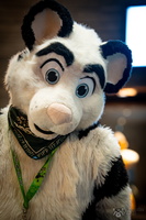 FLT09313-Enhanced-NR