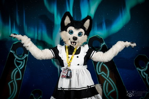 FLT09331-Enhanced-NR