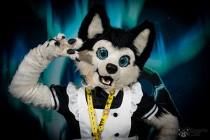 FLT09334-Enhanced-NR